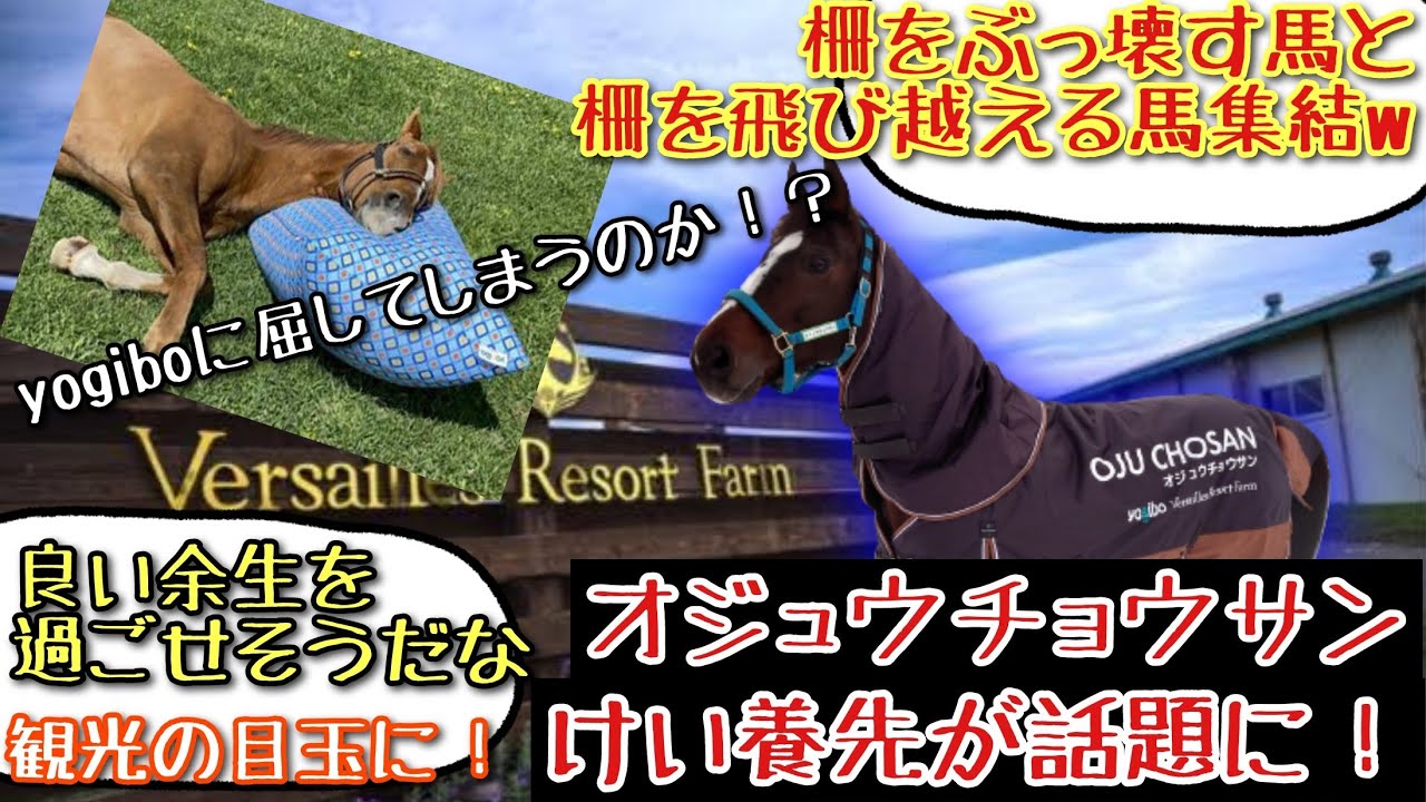 【競馬】オジュウチョウサン 繋養先がヴェルサイユリゾートファームという事が話題に！【みんなの反応】