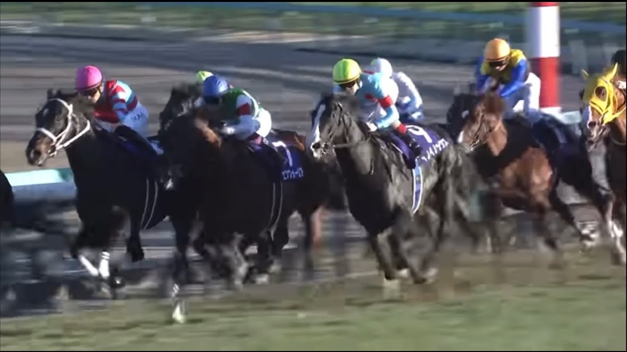 【競馬】京都記念参考レース 2番人気想定 エフフォーリア