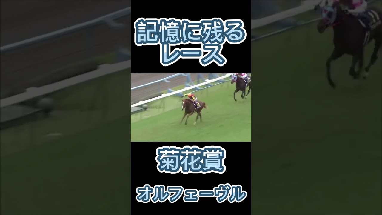これは凄い！菊花賞のオルフェーヴル#shorts #競馬 #スポーツ #菊花賞 #ウマ娘