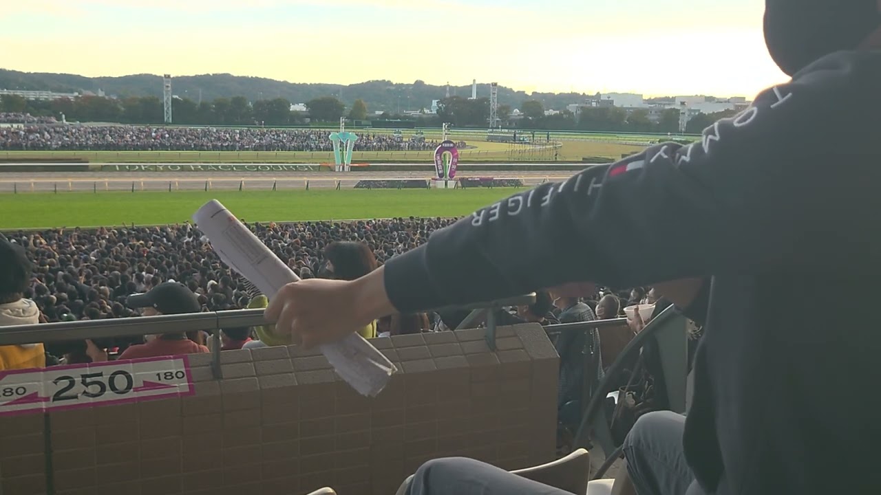天皇賞(秋) イクイノックス(素人撮影) 発走→ウイニングラン