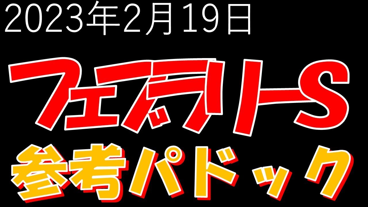 2023年2月19日フェブラリーS参考パドック