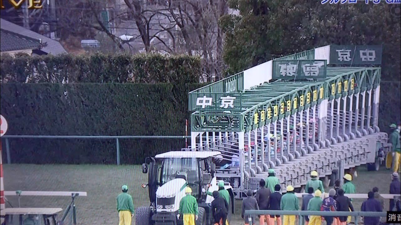 2023 第28回シルクロードステークス(G3・ハンデ)