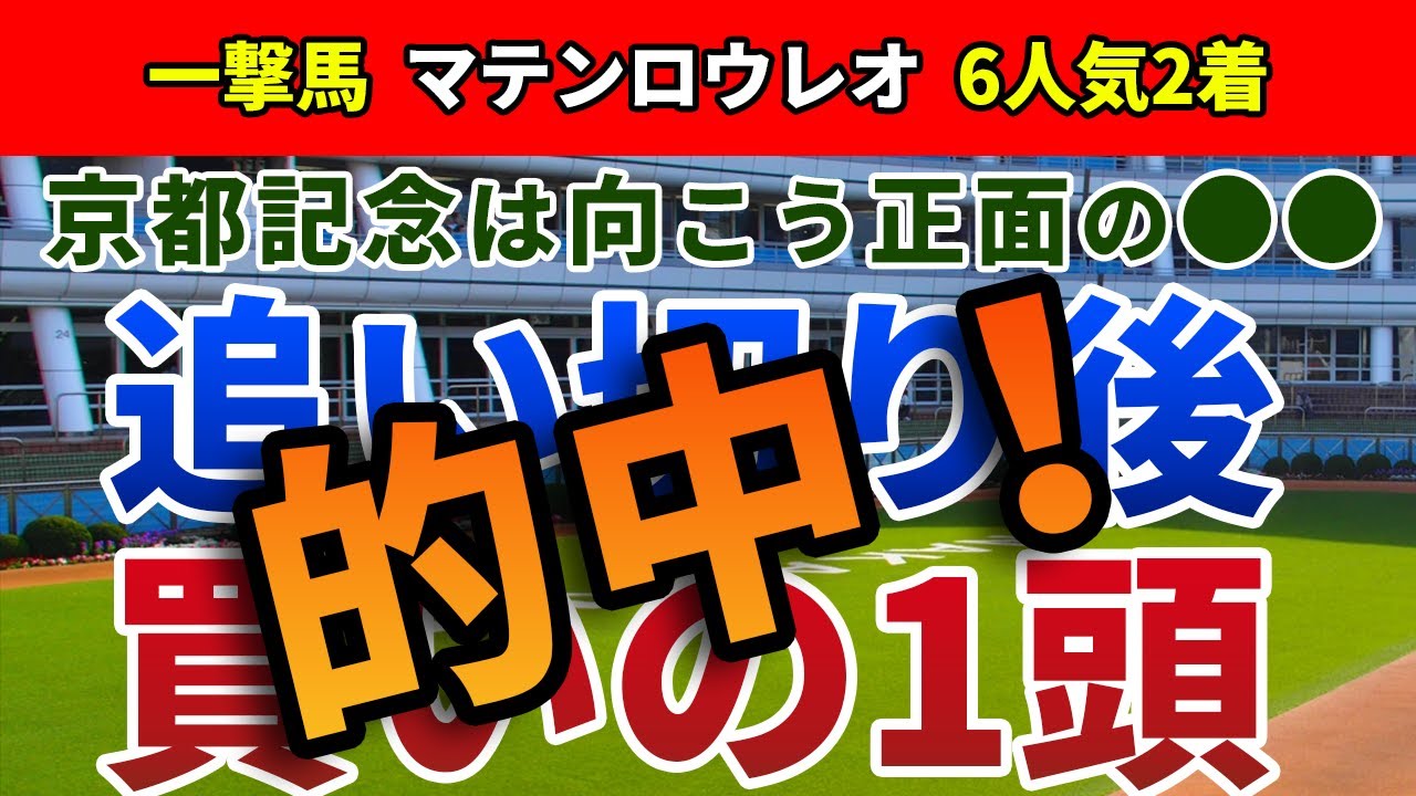 京都記念2023 追い切り後【買いの1頭】公開！人気サイド3頭が後方からなら波乱も十分！コース形態を味方に波乱の立役者となるのは？