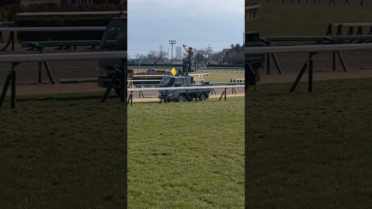 東京、中山競馬 一般競走 ファンファーレ