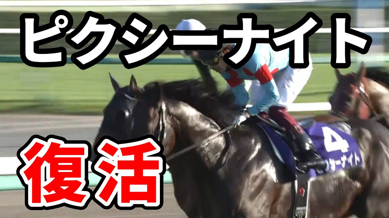 最悪の落馬事故から奇跡の復活  ピクシーナイトは戸崎圭太騎手との新コンビで阪急杯へ