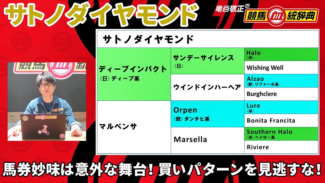 【サトノダイヤモンド】 ピンポイントで狙いやすい！ これからが馬券的に美味しい種牡馬！