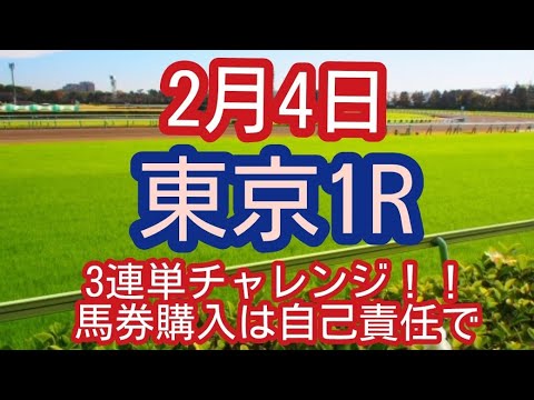 2月4日(土)の東京1R！！3連単チャレンジ！！