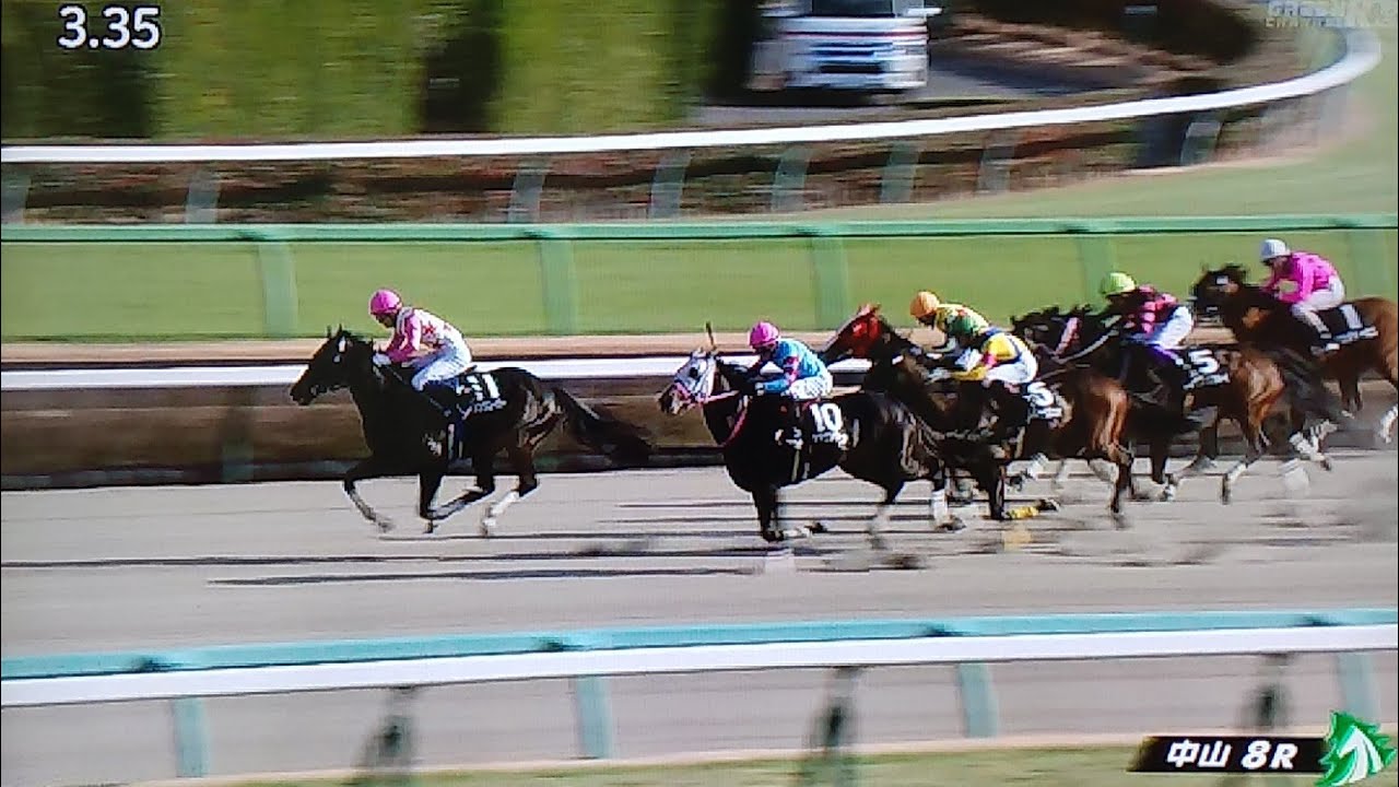 中山8レース中山新春ジャンプステークス ダイシンクローバー