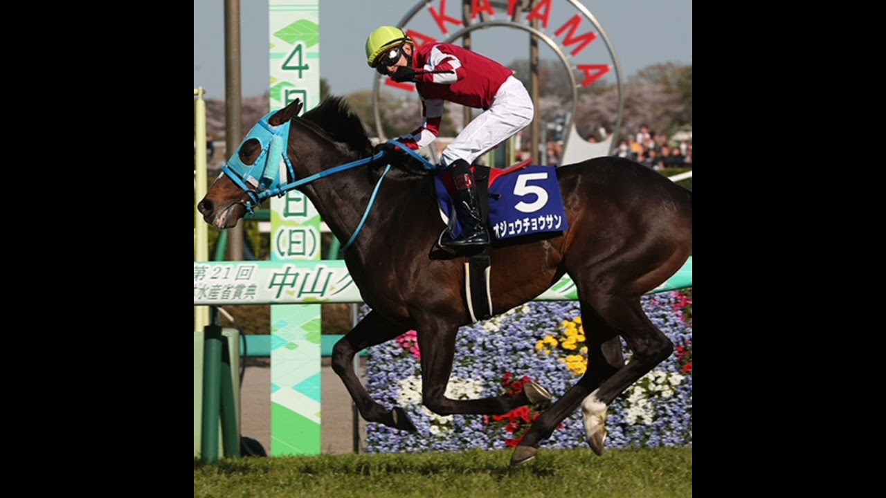 【個人的に1番好き】JRA障害GIレースのファンファーレ！