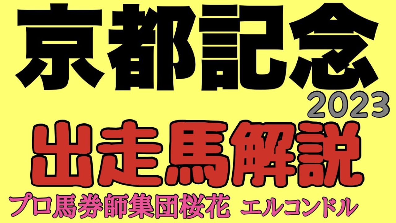 プロ馬券師集団桜花エルコンドル氏の京都記念2023出走馬解説！！エフフォーリアにドウデュースが出走！復調したキラーアビリティと楽しみなメンバーが揃い好レースに期待！