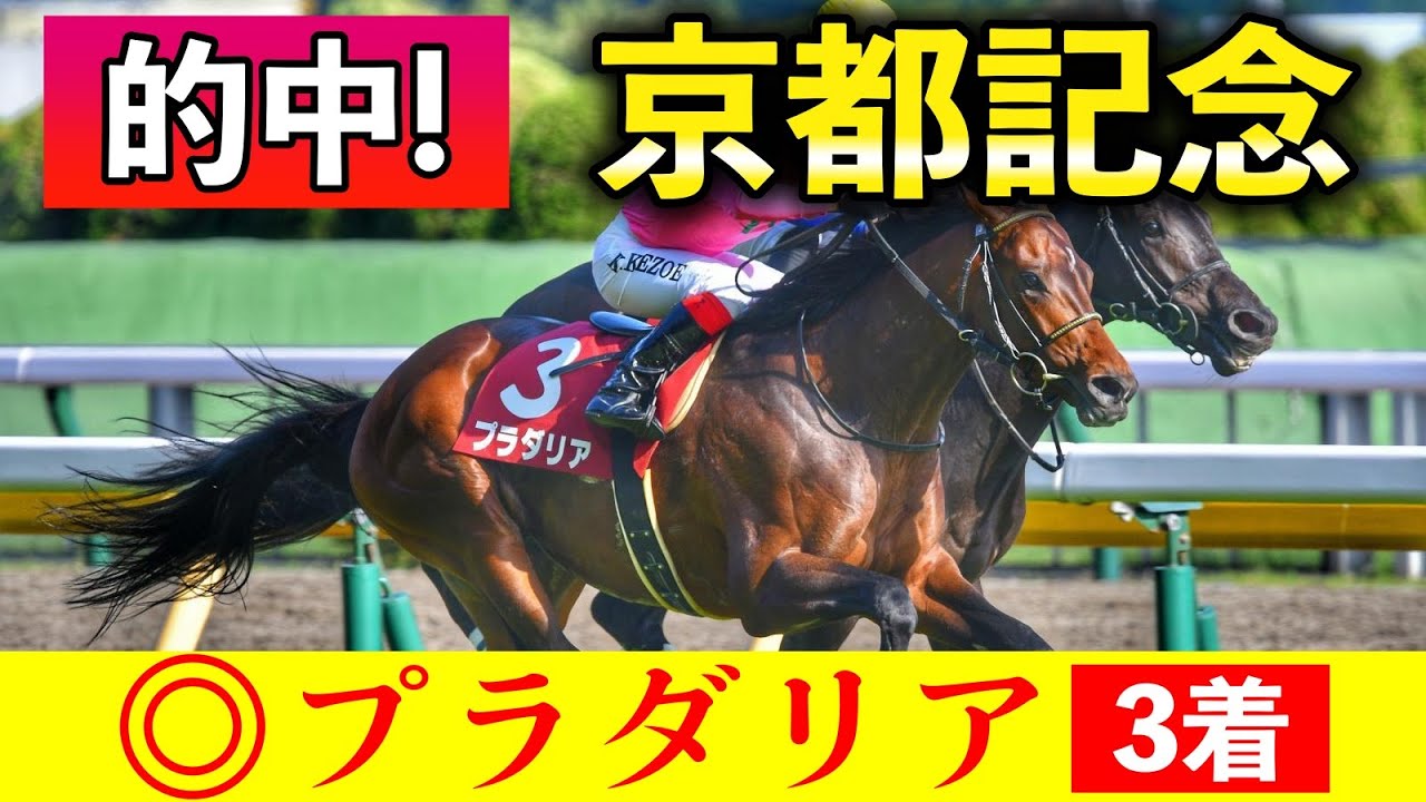 【京都記念2023】本命はプラダリア！前残りで大波乱！ 本命はドウデュースでもエフフォーリアでもありません！