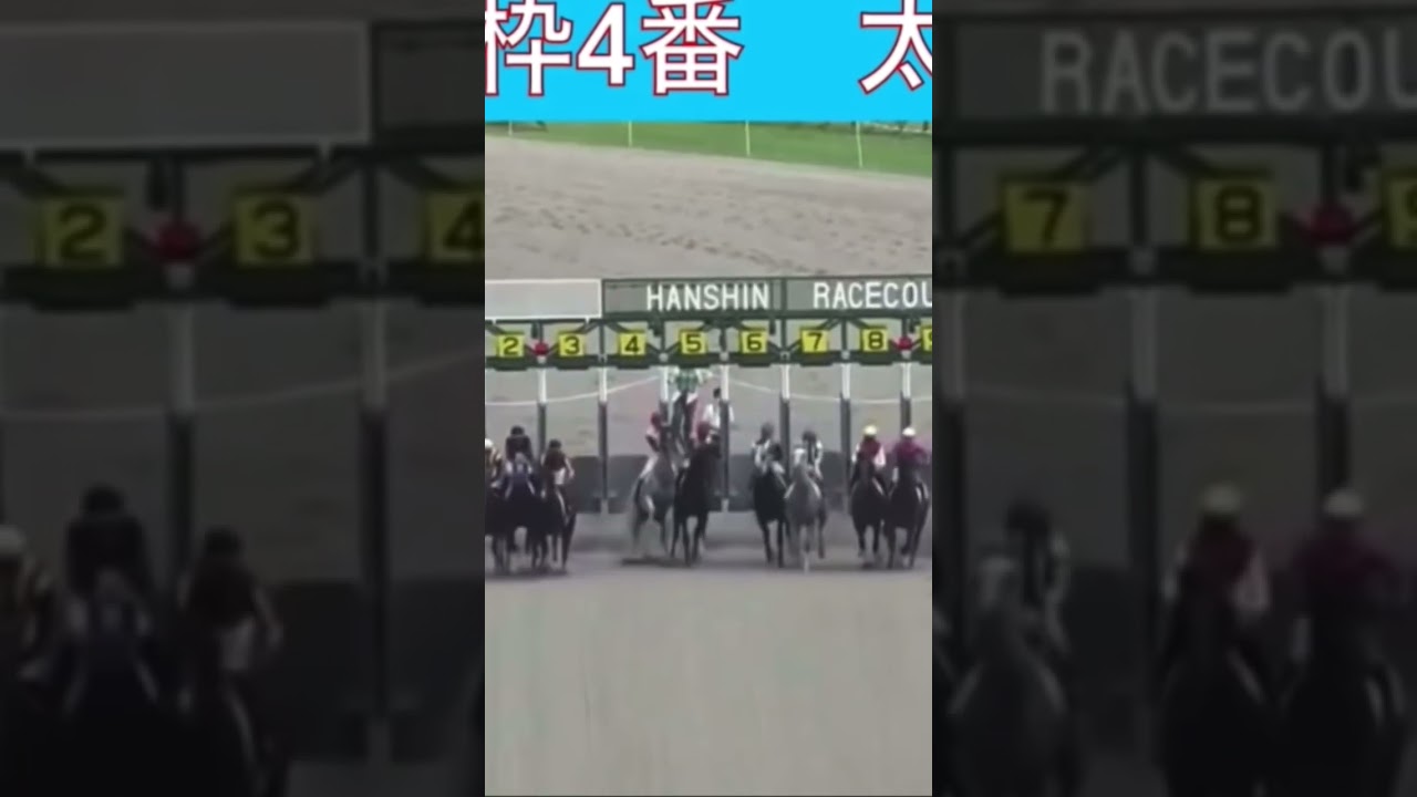 スタート直後に落馬