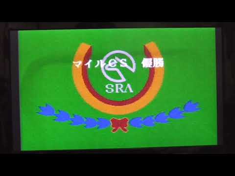 ダビスタ3　レブン　マイルCS　制覇