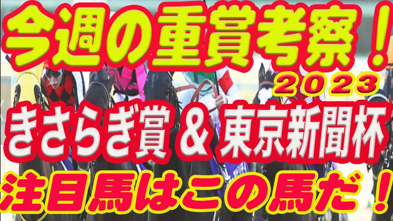 【 今週の重賞考察！】きさらぎ賞、東京新聞杯の考察！M氏の注目馬を馬券期待値（SからEの６段階）で発表！これを見れば今週の馬券に繋がります！