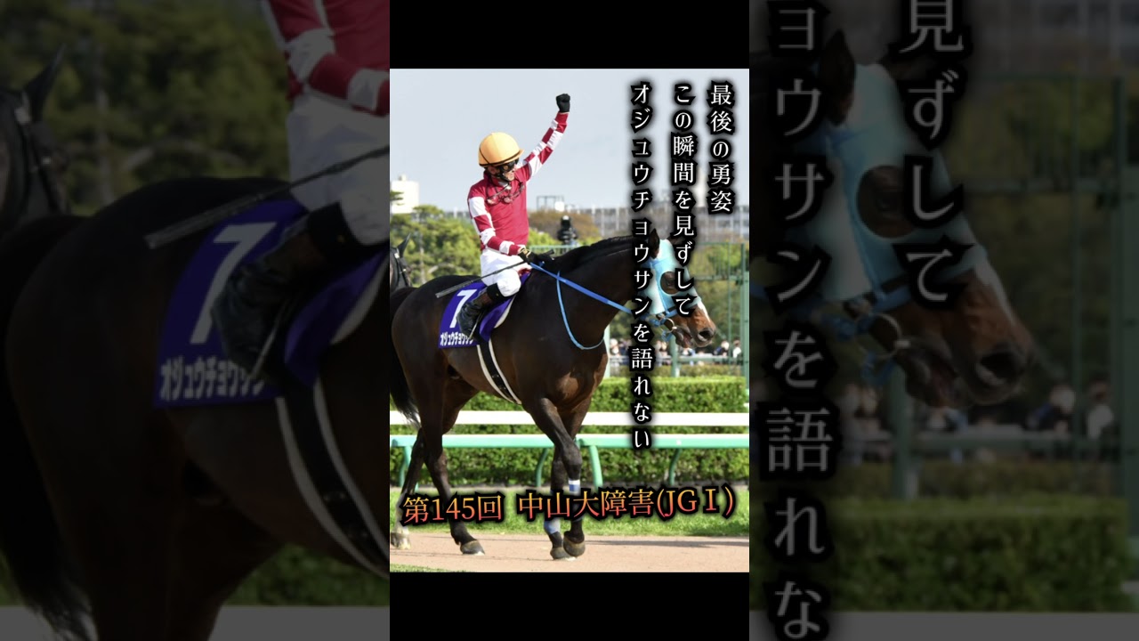 2022年 中山大障害(JGⅠ)