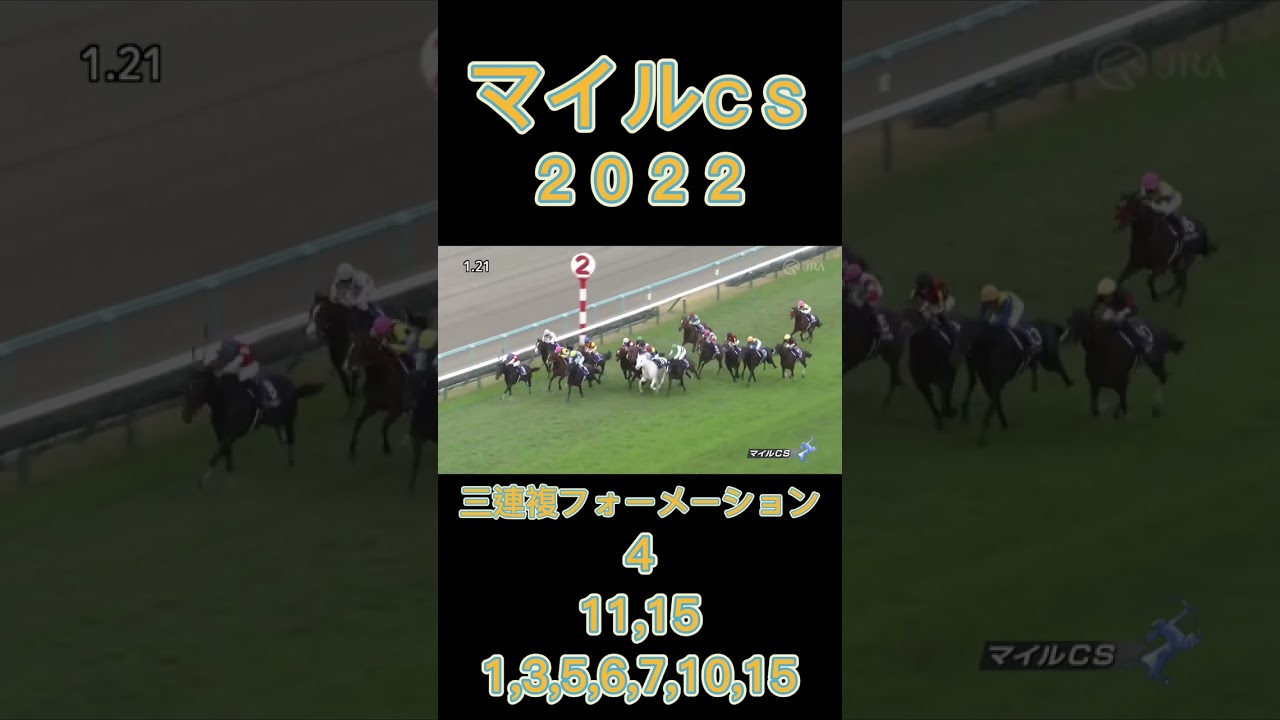 秋のマイル王決定戦！今年は誰が勝利するのか？！
