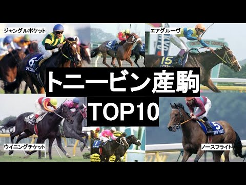 トニービン産駒TOP10