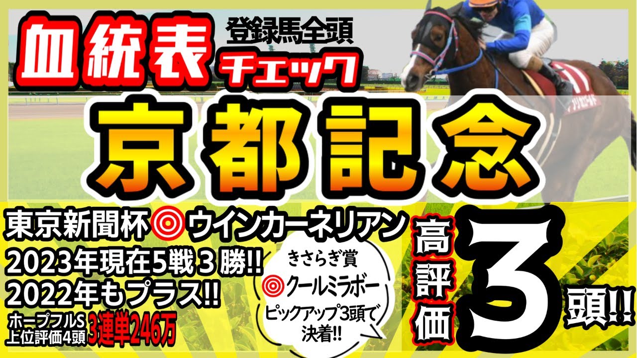【京都記念2023】今回、人気馬○○が危ない！？東京新聞杯◎ウインカーネリアン！知らないと損のお宝血統！高評価馬3頭！
