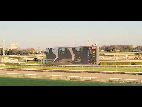 2022/12/28 7中山競馬場 ホープフルステークス(GⅠ)
