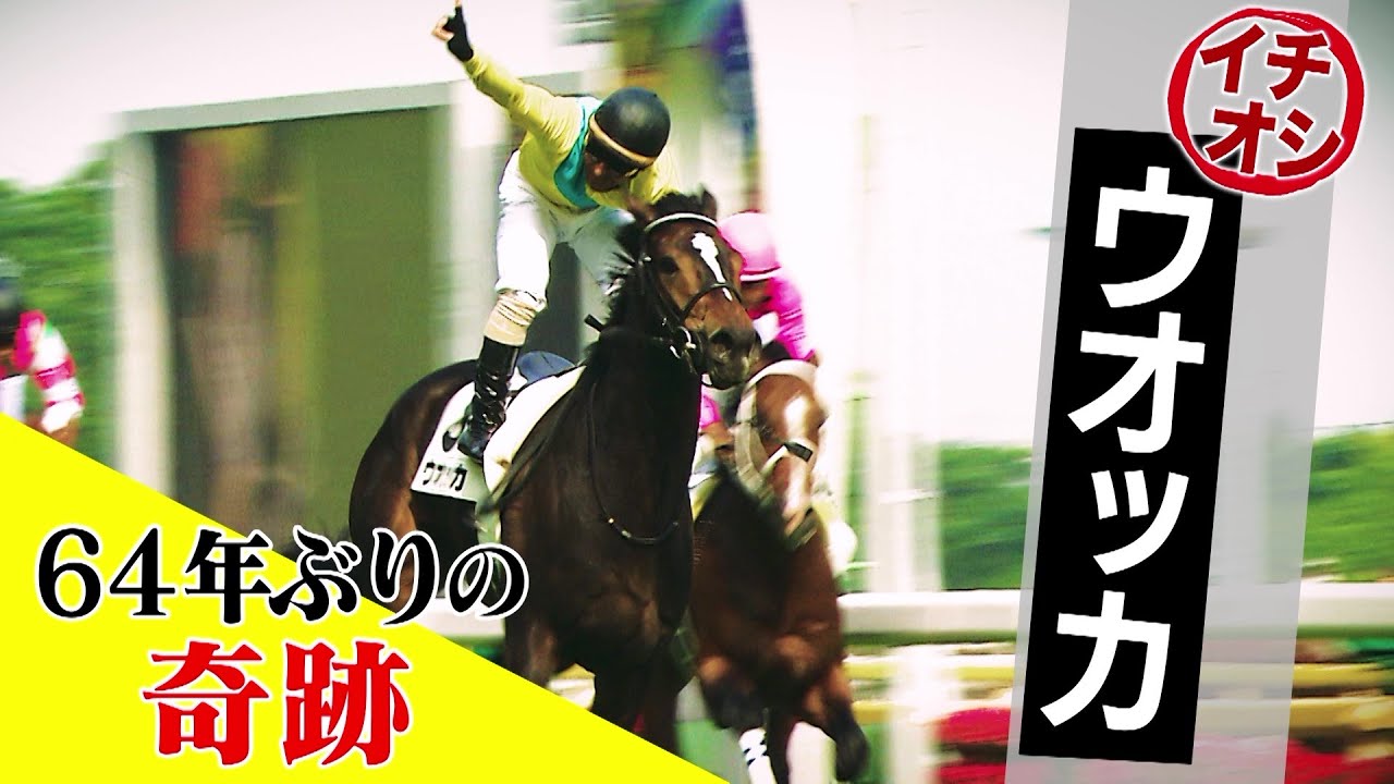 【64年ぶりの奇跡】名牝・ウオッカ 牝馬が日本ダービーを制する！｜競馬大好きママのスナック美馬女「＃6 イチオシ 後編」