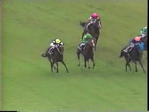 【マイルの帝王　5馬身差の完勝】　第96回　天皇賞競走施行５０周年記念　天皇賞（秋）（ＧⅠ）　ニッポーテイオー　1987.11.1　　出走馬：ダイナアクトレス、レジェンドテイオー、シリウスシンボリ他