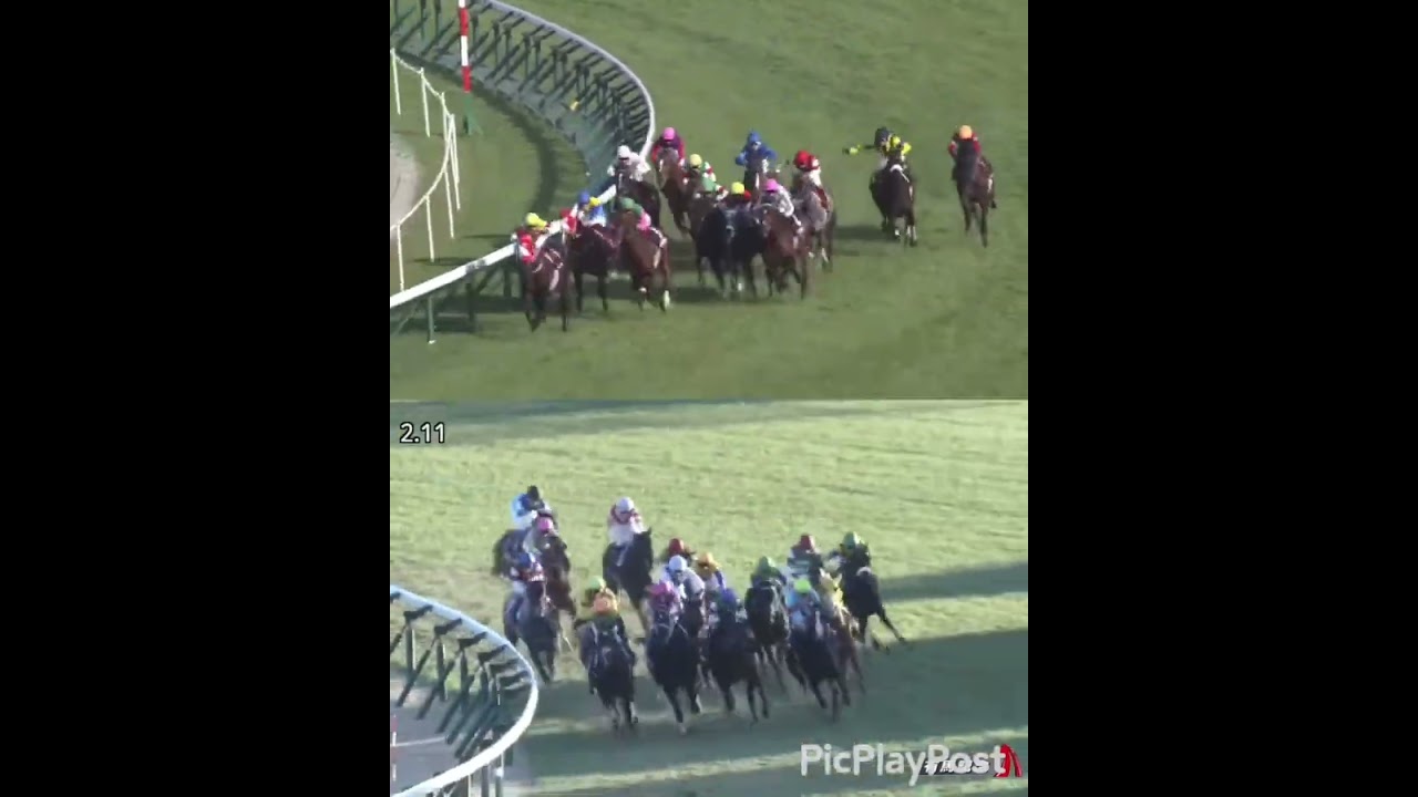 ドウデュースとイクイノックスのレースぶりが似すぎている件