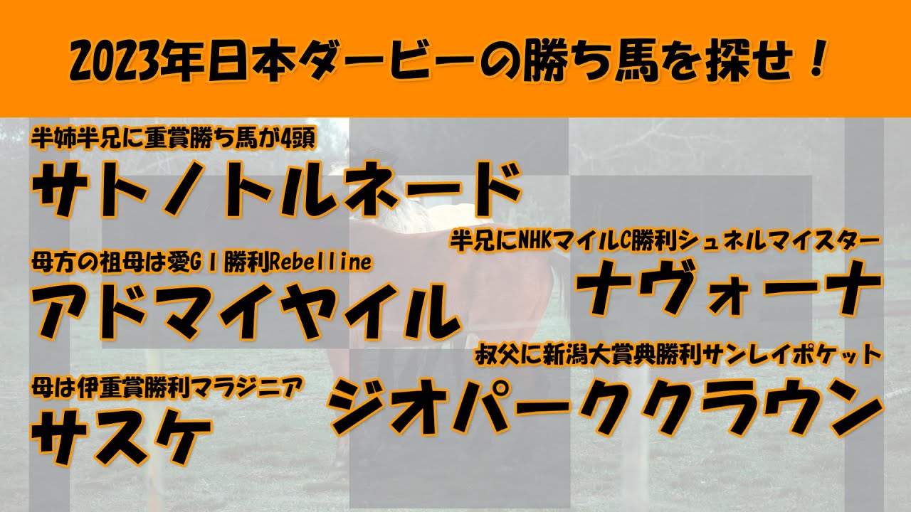 2023年日本ダービー馬を探せ！#43　サトノトルネード、アドマイヤイル、サスケ、ナヴォーナ、ジオパーククラウンを注目馬として取り上げました。
