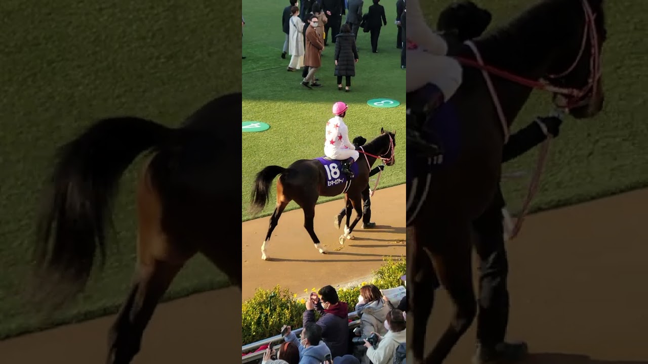 ホープフルステークス(GⅠ)で1人気に支持されたミッキーカプチーノと戸崎 圭太騎手…(5着でした)