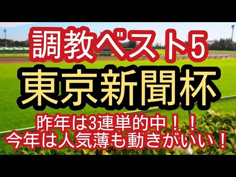 昨年は3連単的中！！東京新聞杯調教ベスト5！！