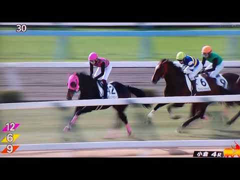 小倉4レース障害未勝利 ダンツキタイ