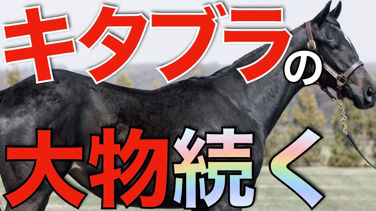 【豪快に】またもキタサンブラックから大物誕生！サンデー系の主流になるかも？