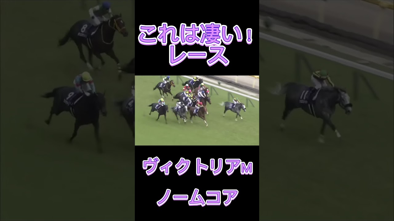 これは凄い！ヴィクトリアマイルのノームコア！#shorts #競馬 #スポーツ #ヴィクトリアマイル