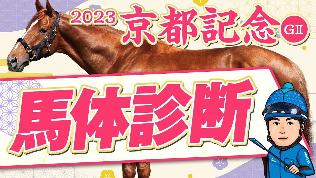 【京都記念 2023】先週は◎イチオシ馬が2着！豪華メンバーの中距離戦を制するのはこの馬体だ！某大手牧場の元スタッフが見抜く重賞馬体診断！重賞フォトパドック【競馬 予想】