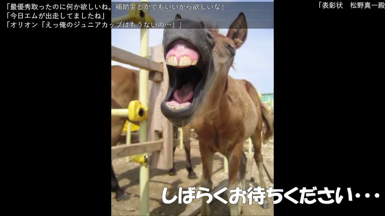 【ダービー馬主】元無職の地方競馬【そして伝説へ】