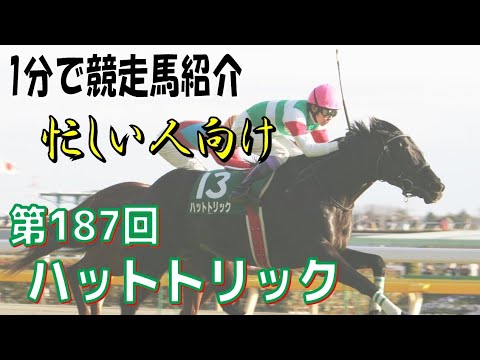 ハットトリックという馬を1分で紹介してみる