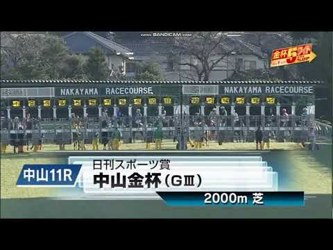 2023年 中山金杯（GIII）ファンファーレ