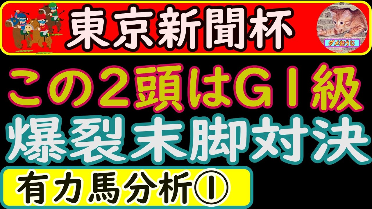 東京新聞杯2023年の予想オッズ上位馬分析！ナミュール・ジャスティンカフェ・ピンハイ