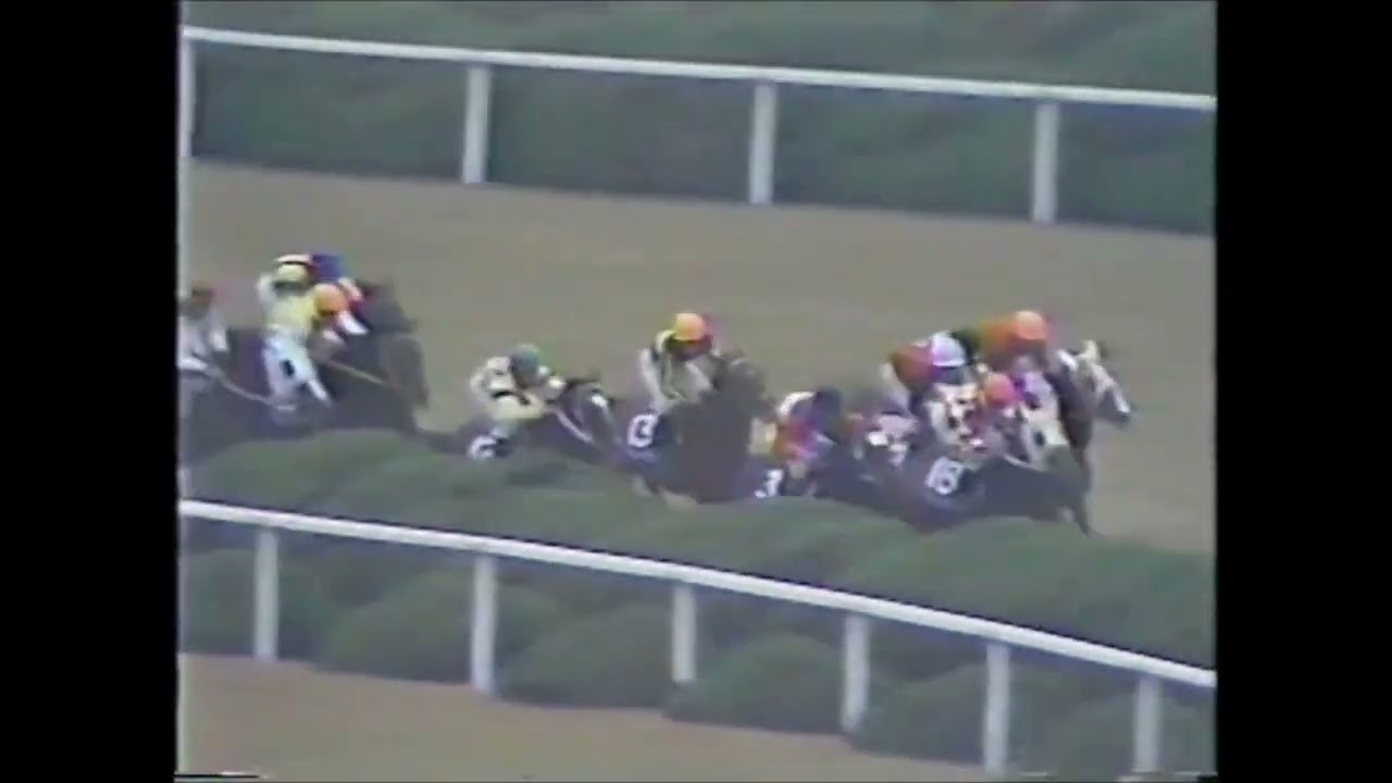 『これから馬群を割れるか！馬群を割れるか！外からパッシング！』第７回　マイルチャンピオンシップ （ＧⅠ）　 パッシングショット　楠孝志　1990.11.18　　出走馬：バンブーメモリー他　実況：杉本清