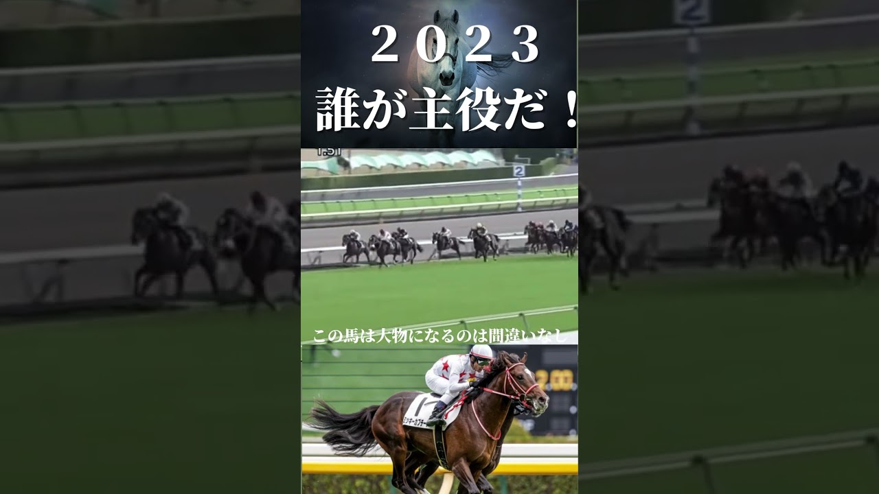 【競馬】この馬格、この迫力、クラシック最有力はこの馬だ！