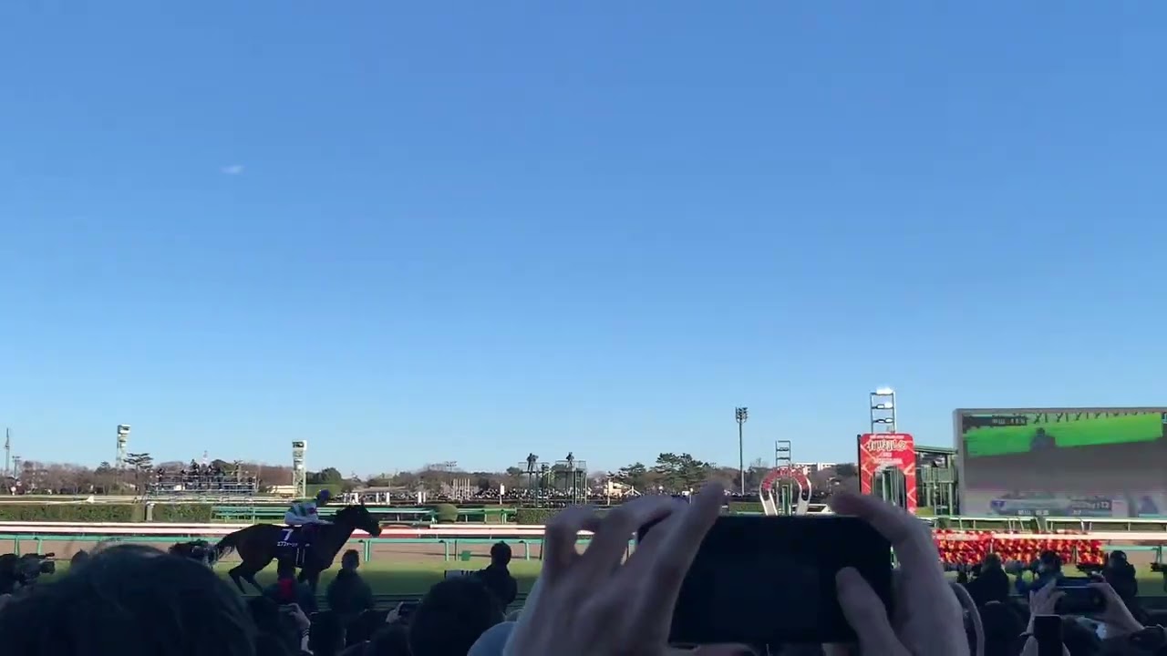 2022/12/25 有馬記念 エフフォーリア 返し馬