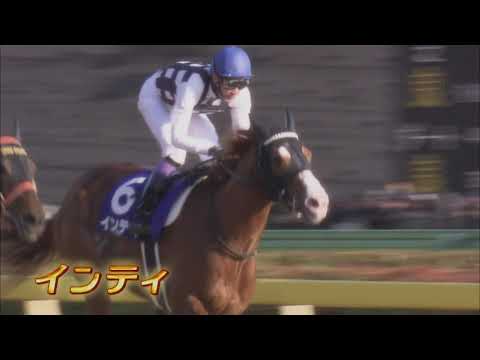 栄光の名馬たち2月(インティ)