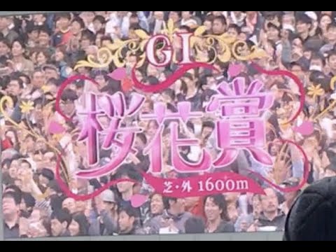 2017年 第77回 桜花賞 関学 ファンファーレ ＠阪神競馬場