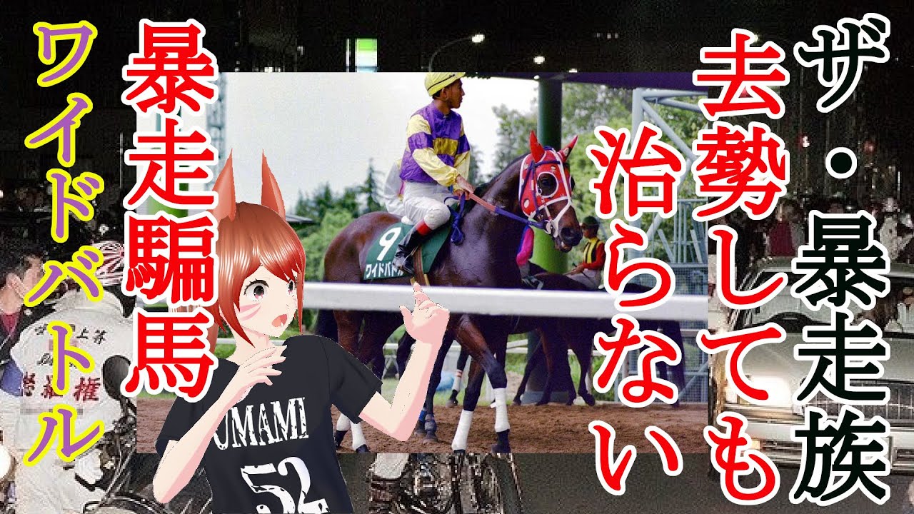 競走馬紹介 暴走騙馬 ワイドバトル