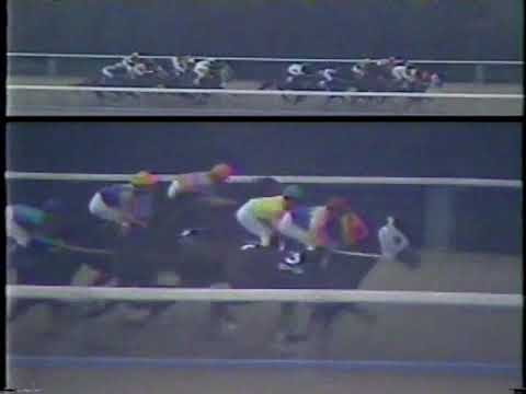 第４２回　農林水産省賞典　阪神３歳ステークス （ＧⅠ）　イブキマイカグラ　南井克巳　1990.12.9　　出走馬：メイショウホムラ、ミルフォードスルー、ニホンピロアンデス他　　実況：杉本清