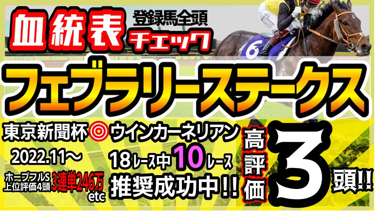 【フェブラリーステークス2023】中央競馬ダートＧⅠ専用の激走血統がある！？知らないと損のお宝血統！高評価馬3頭！