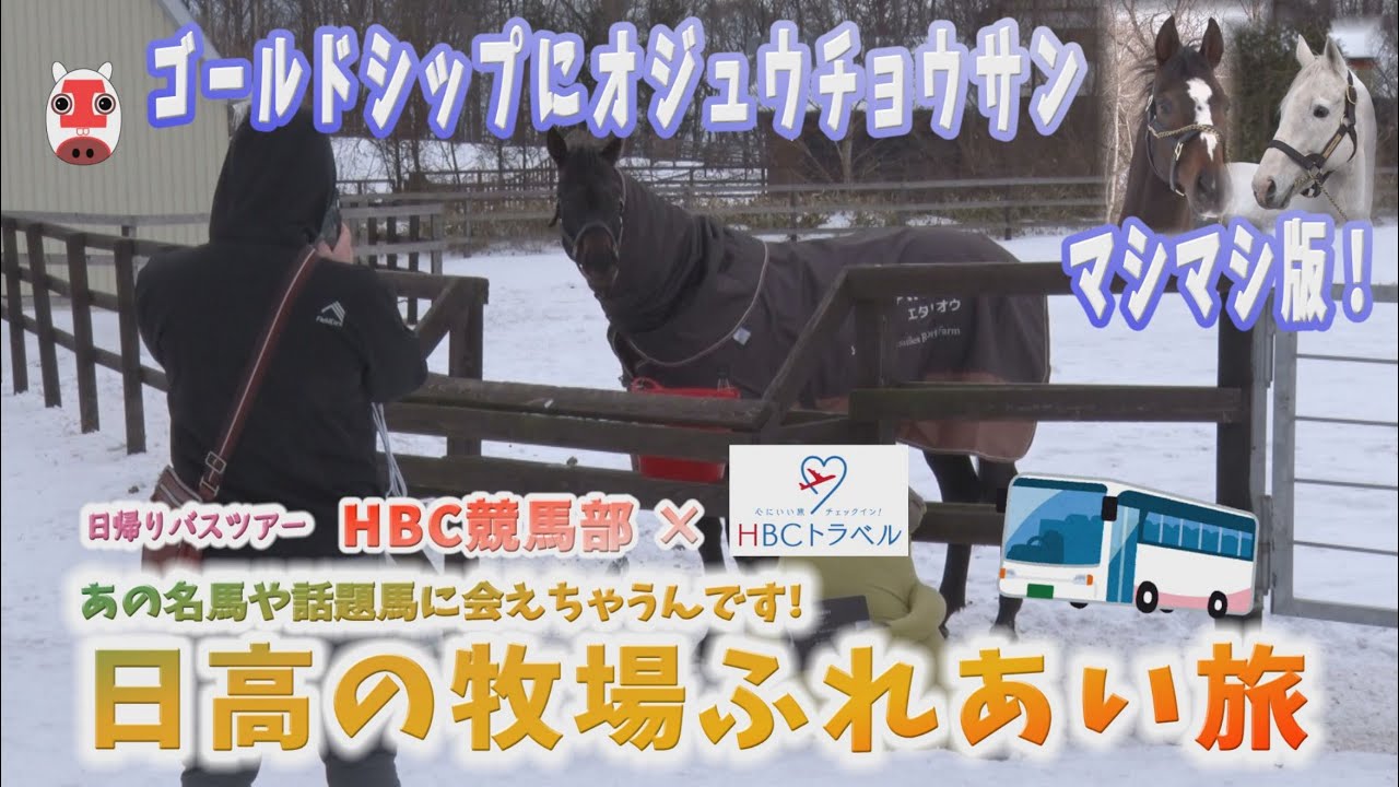 【オジュウチョウサン】特別公開！ゴルシにジャパンも登場！日高・日帰りバスツアー