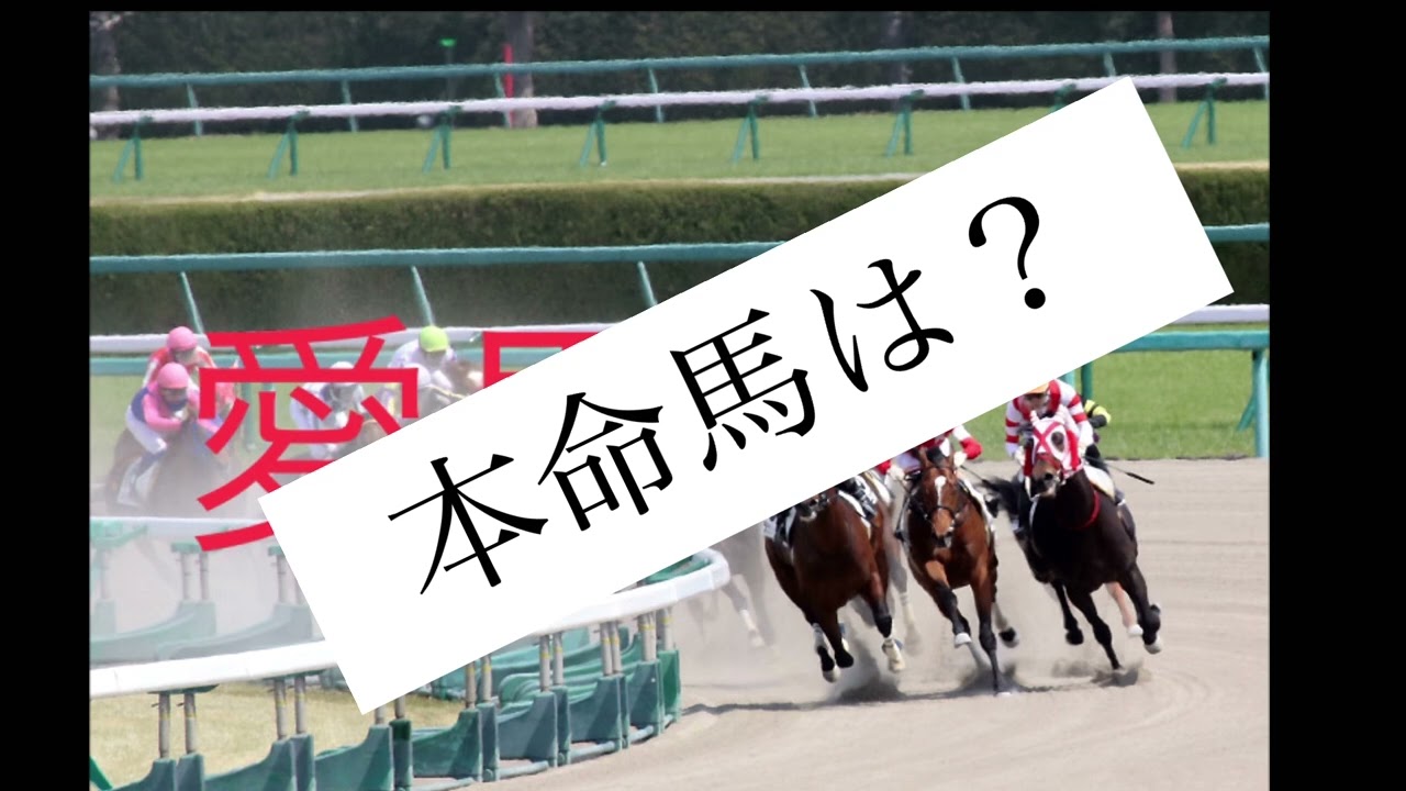 2/11中央競馬重賞！京都記念予想