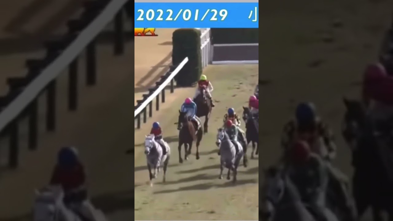 飛越できず倒れてしまう人気馬