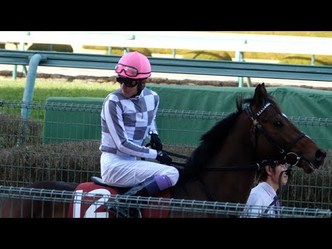 【武豊】京都記念 2023 ドウデュース始動！本馬場入場から返し馬へ