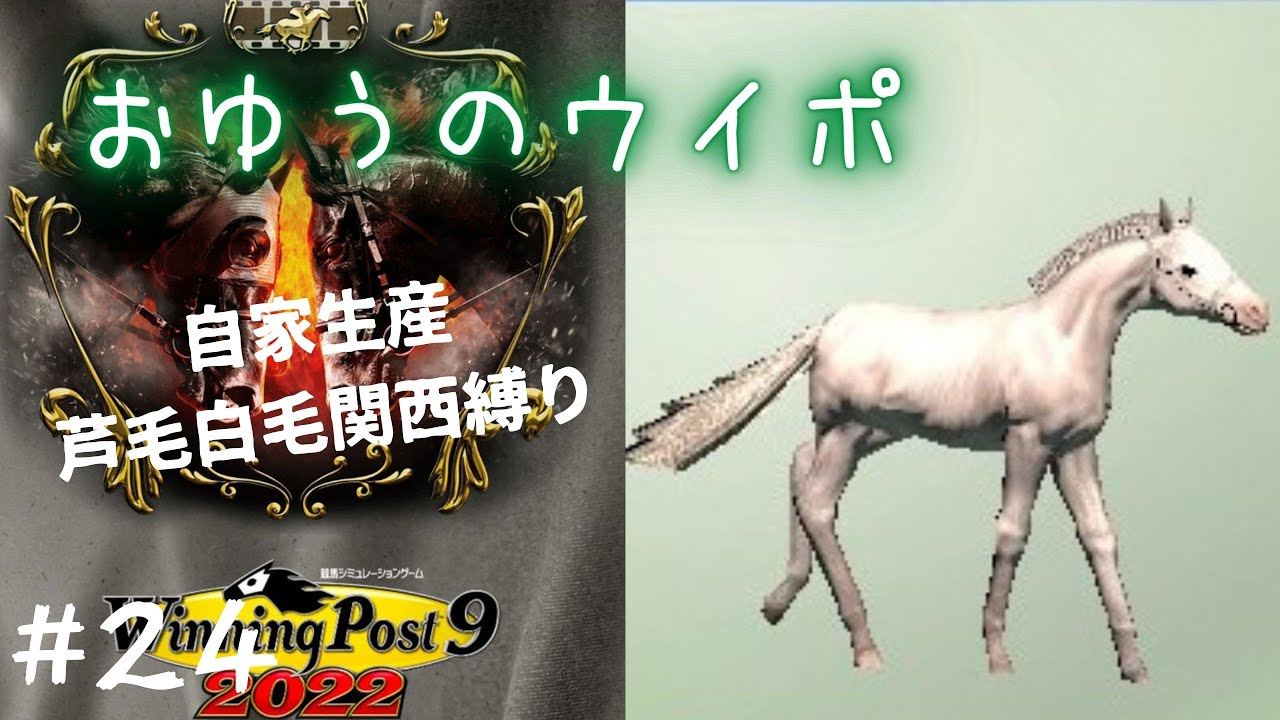 【ウイニングポスト9 2022実況#24】難易度SPECIAL、自家生産芦毛白毛、関西縛り
